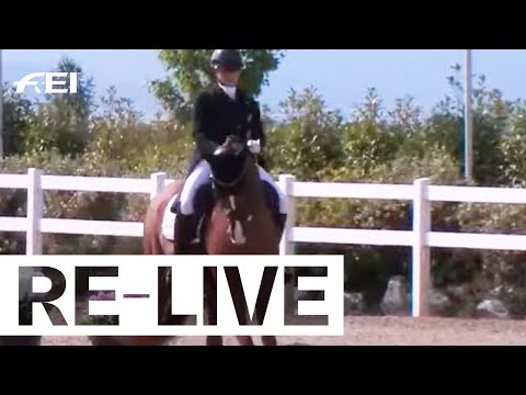 RE-LIVE | Young Riders Team Part II - FEI Dressage European Championship for Young Riders