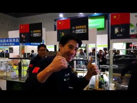 CIPS 2017 Hardscape preparation 1st day