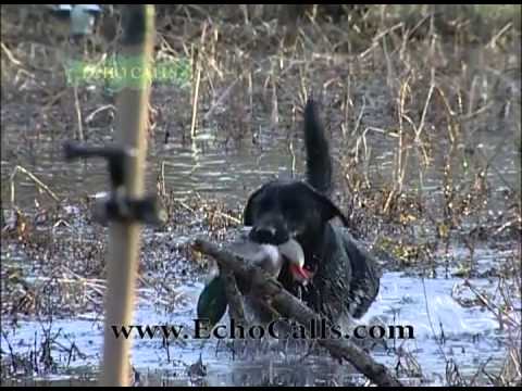 Green Timber Smashin' Jones N Echo Boys Style