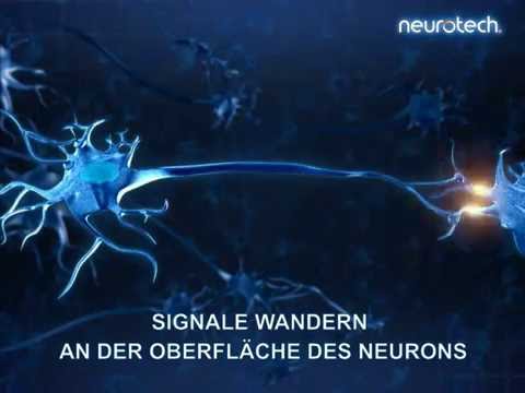 Grundlagen 4: Signalleitung