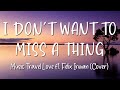 I Don't Want To Miss A Thing - Music Travel Love ft. Felix Irwan (Cover) Lirik Lagu Lyrics Video