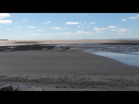 Foraged Wild Welsh Estuary Catch and Cook with Craig Evans
