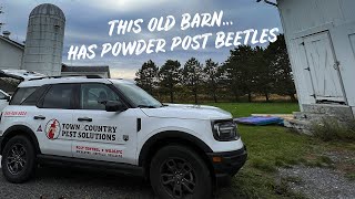 This Old Barn...Has Powder Post Beetles