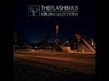 The Flashbulb - Dishevel
