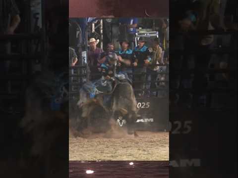 Rodeio 2025 Inubia Paulista.  Montaria em touro.       venha ver você mesmo. Canal no YouTube .