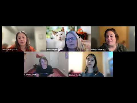 What advocates need to know about 'open' adoptions  — Action Team training (October 2025)