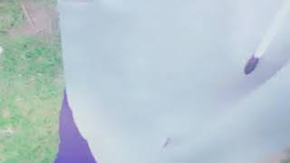 Download lagu Story wa buat temen penikung 😏 mp3