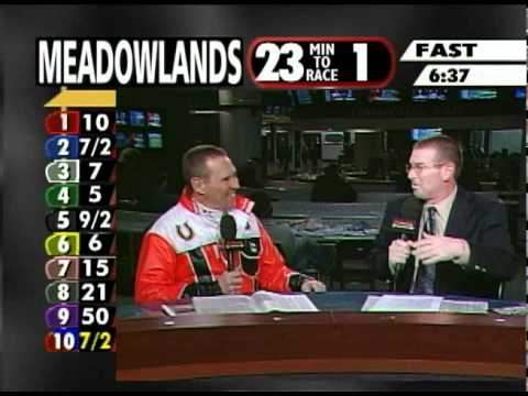 In the Sulky - Andy Miller