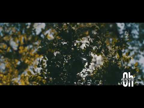 Countin' bands - Lil Songs