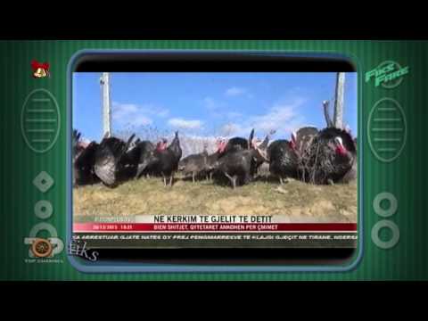 Fiks Fare, 31 Dhjetor 2015, Pjesa 4 - Investigative Satirical Show