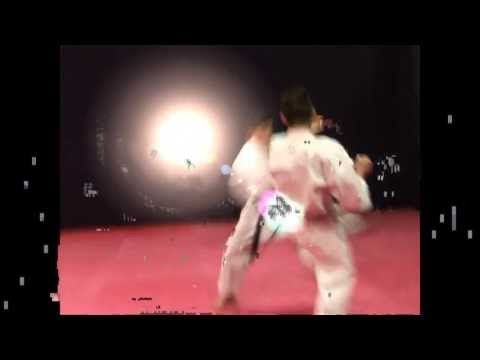 KARATE - SHOTOKAN COMPETITON KATAS & BUNKAI DVD - Lucio MAURINO sensei