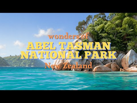 Wonders of Abel Tasman National Park | Most Amazing Place To Visit In New Zealand | Travel Video 4K