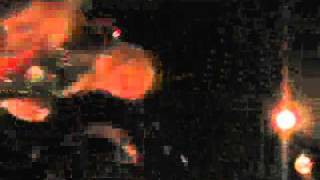 Tom and Boot Boys / Up The Punx Tour (2005) Part 4