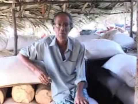 2009-02-17 Mr Sothinathan tells about the situation in vanni