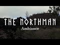 The Northman Ambiance
