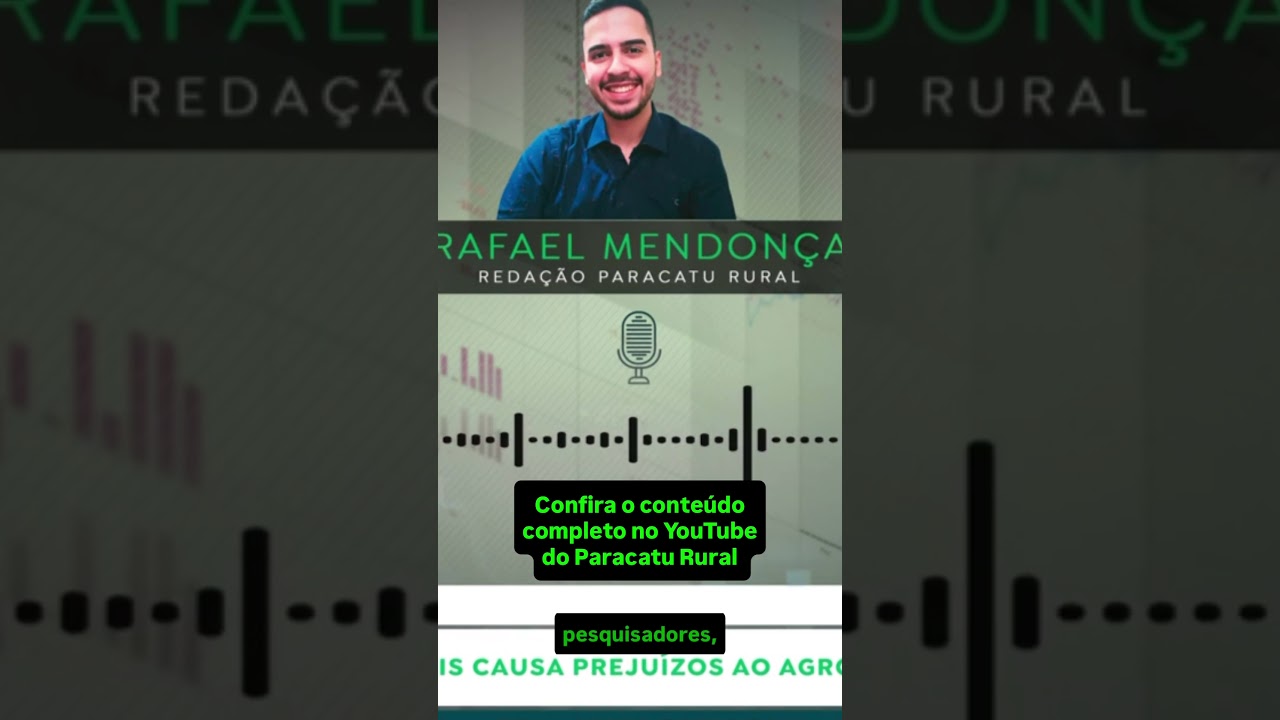 Giro agro: javalis ameaçam em MG
