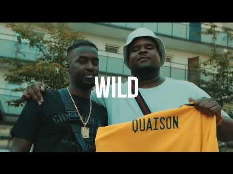 [FREE] Blizzy x Guleed x Alex Ceesay Type Beat - "Wild" | Dancehall Instrumental 2022