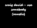 craig david - use somebody 