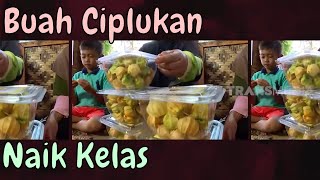 Download lagu Buah Ciplukan Naik Kelas, Sampai Harga Ratusan Ribu | Si Unyil (21/02/20) Part 4 mp3