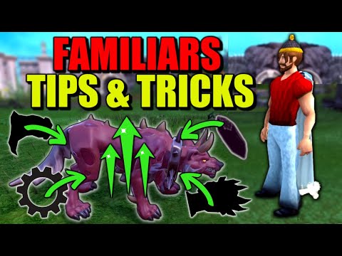 STOP Using Your Familiar Wrong In Runescape 3, TRY THIS!