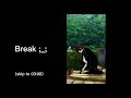 Genshin Impact React To Ken Kaneki LTokyo Ghoul