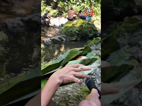 Tour Turístico en Dabeiba - Antioquia con VIVE DABEIBA.