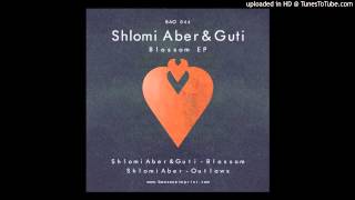 Shlomi Aber & Guti - Outlaws (Original Mix)