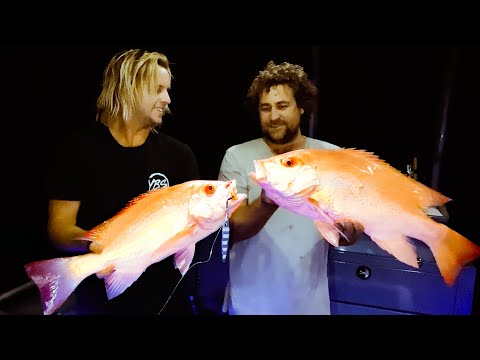 DEEP SEA FISHING AT NIGHT With The Boys (Venomous Sea Snake Swim At Night) Part 1 - Ep 209