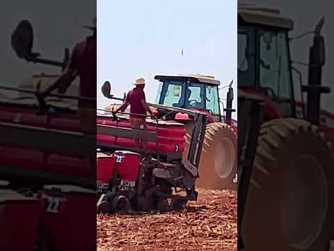 Chupinguaia Rondônia