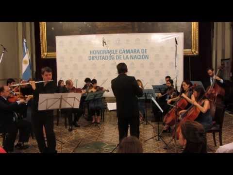 Saverio Mercadante, Flute concerto in E minor for flute & strings, 3° mov (Fabricio Fornero: Flute)