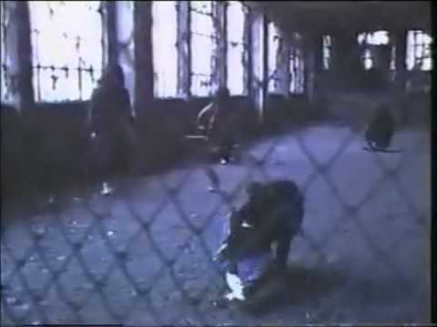 Heavy Chains のサムネイル