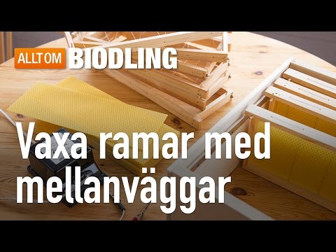 , title : 'Vaxa ramar med vaxmellanväggar  - Biredskap - Biodling'