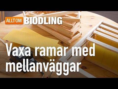 Vaxa ramar med vaxmellanväggar  - Biredskap - Biodling