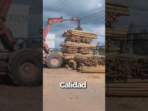 Postes Río Maule #viral #fpy #youtubeshorts #postes #polines #viral