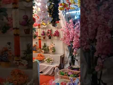 beautiful flowers #viral#trending#nimmu nishu vlog