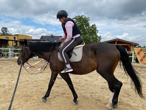 Nauka powożenia Żerdziny Stajnia Podkowa