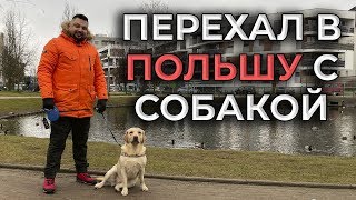 ????????Переезд с собакой в Польшу из Украины. Почему выбрал Польшу? Зарплата сварщика в Польше