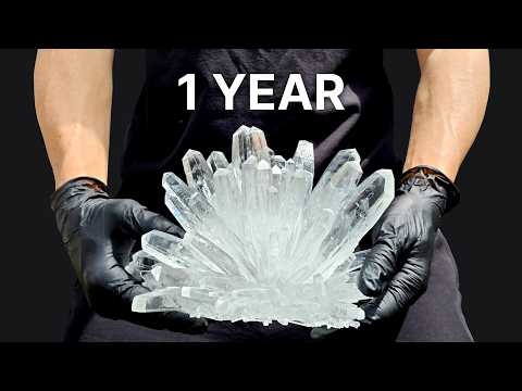 I Grew a Giant Crystal from Fertilizer for 365 Days