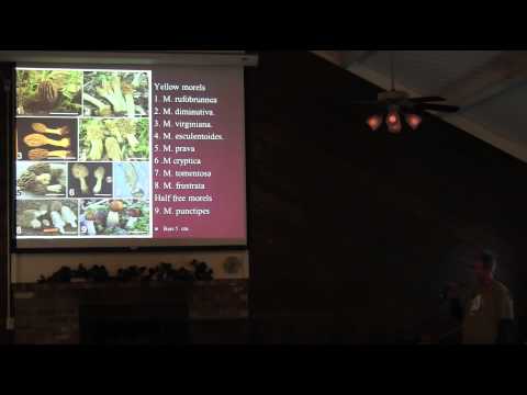 Tom Volk, NAMA 2012 Speaker Cryptic Species: The Hidden Gems of Mycology