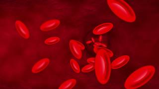 Regulation of cerebral blood flow