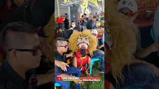 Download lagu KUDHO PRANESO TERBARU#kudhopraneso #kudalumping #jathilanndadi #jarananndadi #jathilanklasik #ebeg mp3