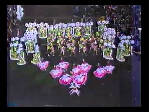 1990 Harrowgate String Band - Revival In The Bayou