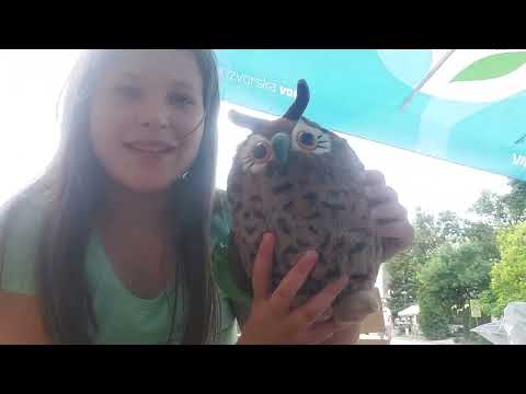 Zvjerići Sara sova 🦉