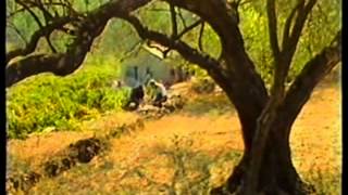 Oliver Dragojević - Oprosti mi pape