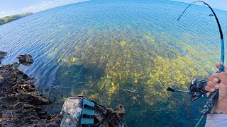 Florida Keys Shore Fishing PT 2 | Fish At Your Feet!