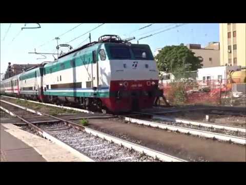 2 TARTARUGHE SON MEGLIO DI 1 - IC 603