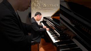 Download lagu 【ピティナE級ロマン派課題曲】リスト森のざわめき mp3