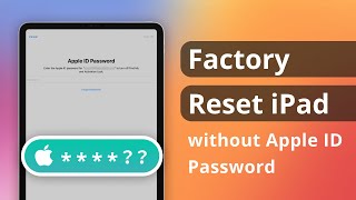 [3 Ways] How to Factory Reset iPad without Apple ID Password 2024 | All Models