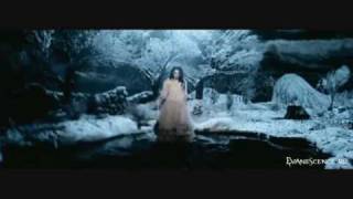 Evanescence - Field of Innocence ( Subtítulos en español)