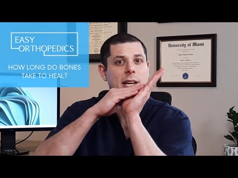 How long do bones take to heal?
